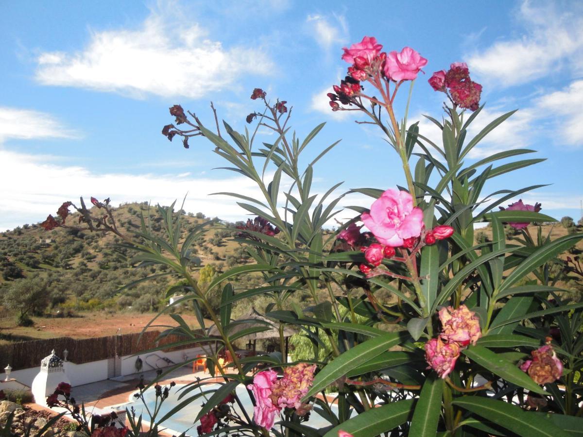 B&B Casa El Corasueno Almogía 外观 照片